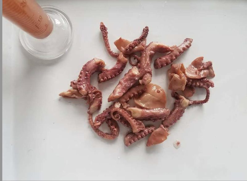 cannned octopus