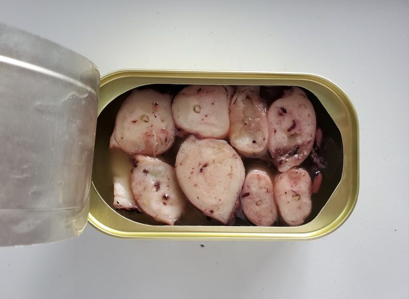 canned squid