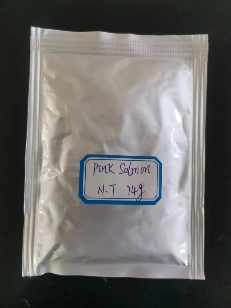 Salmon in Pouch