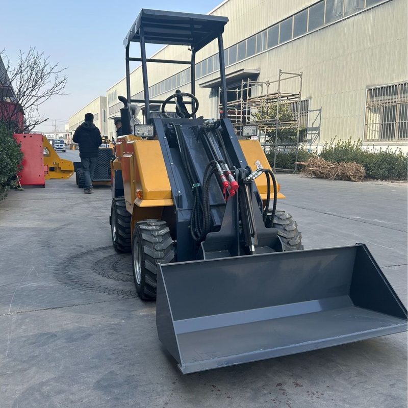 Skid Steer Loader (Telescopic) image 2