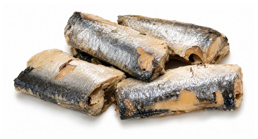 Sardine Tin