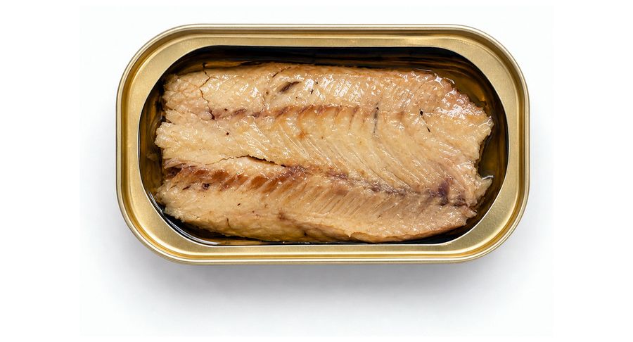 Canned Squid